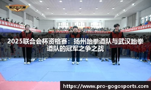 2025联合会杯资格赛:扬州跆拳道队与武汉跆拳道队的冠军之争之战