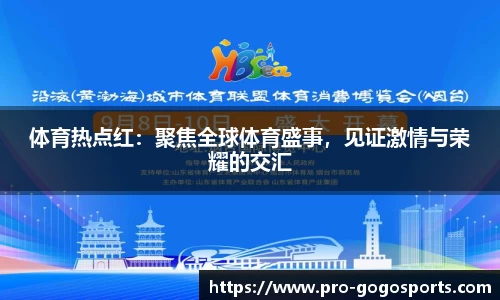 体育热点红:聚焦全球体育盛事,见证激情与荣耀的交汇